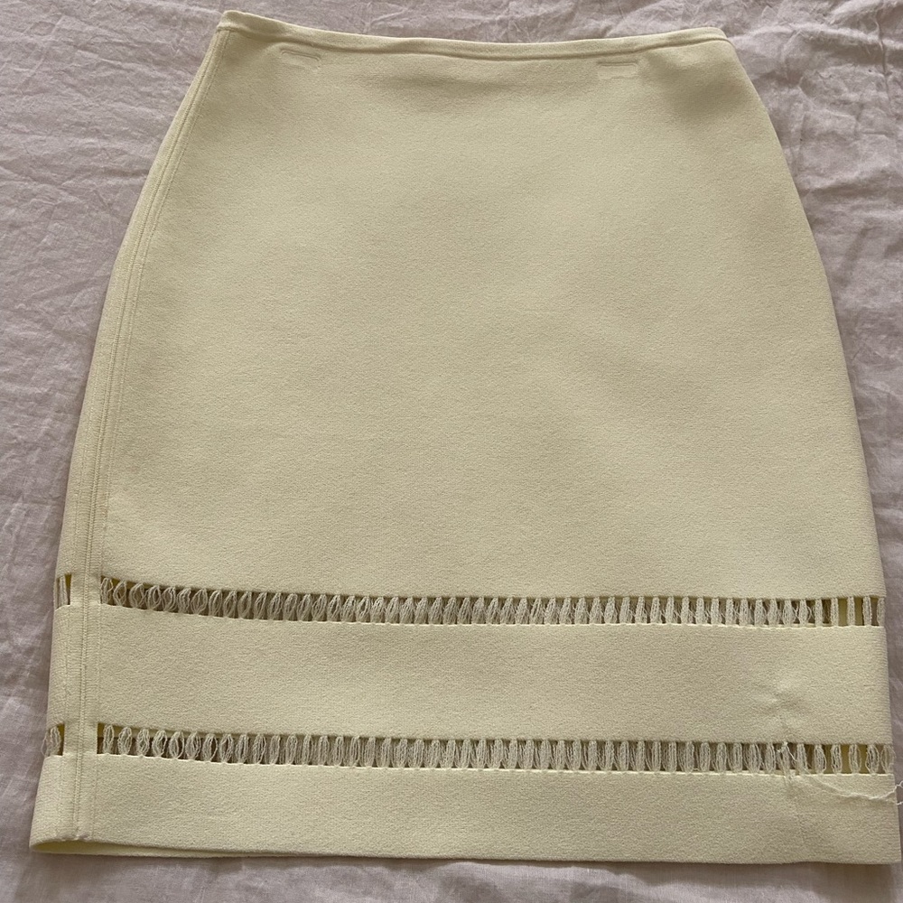 Alexander Wang Bodycon skirt